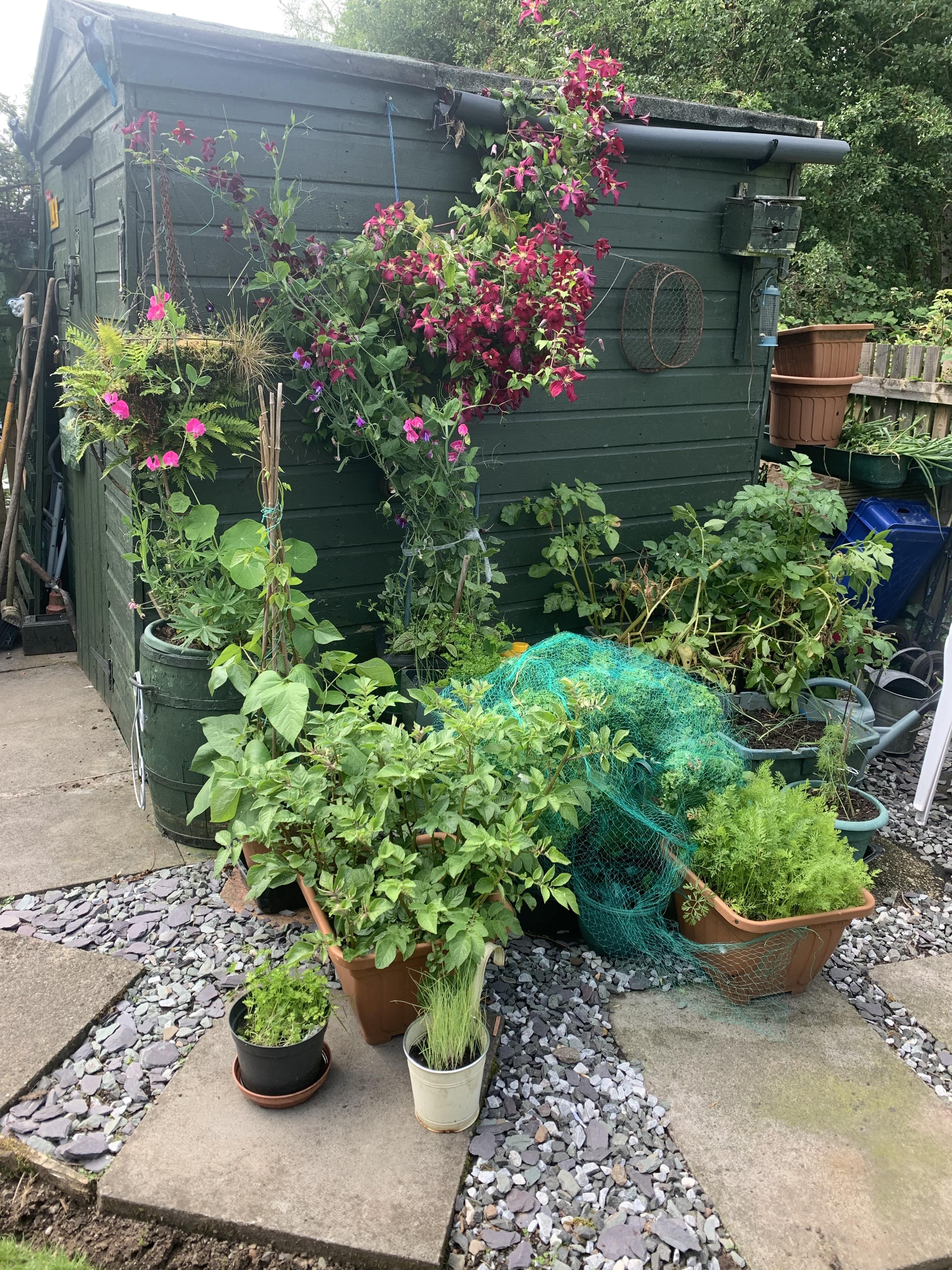 23 Burngreen, Kippen VEG