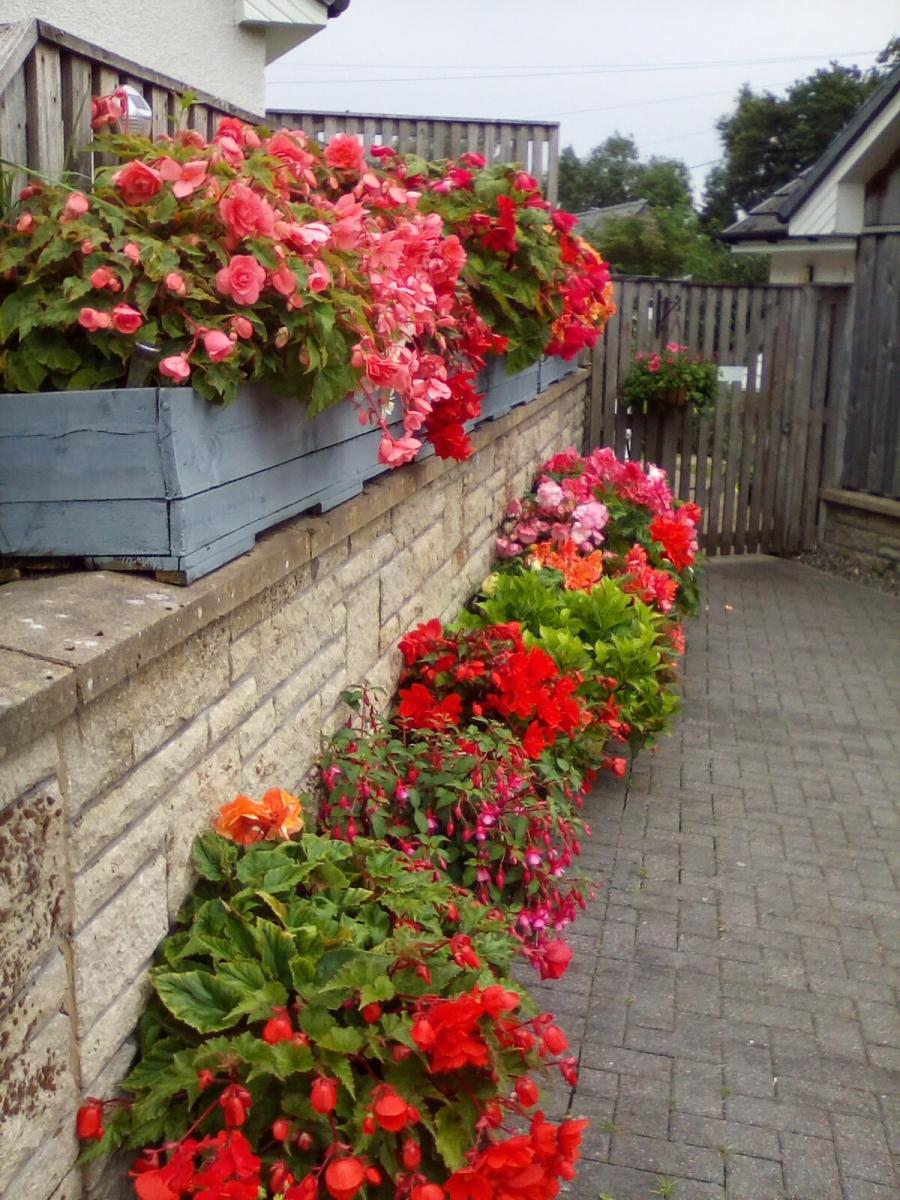 First Prize Garden 2025 