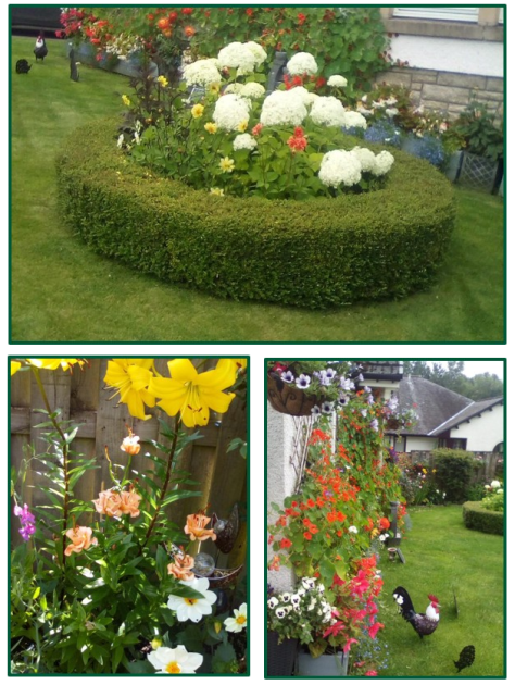 Garden Comp all